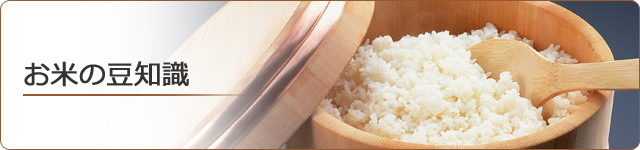 お米の豆知識